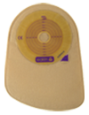 pelican1