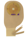 pelican2
